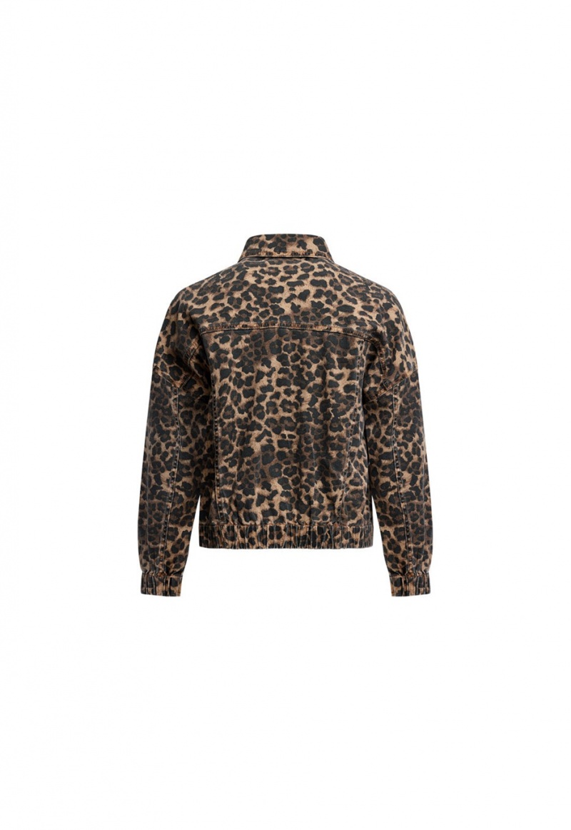 Lioness Carmela Spijkerjassen Leopard | Nederland-BMTXC8460