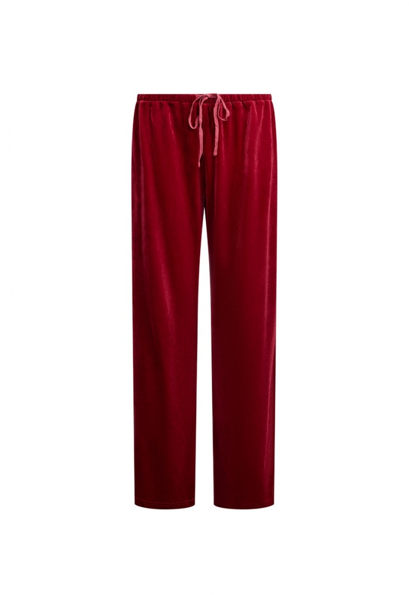 Lioness Ride With Me Broek Bordeaux | Nederland-HOGFI2856